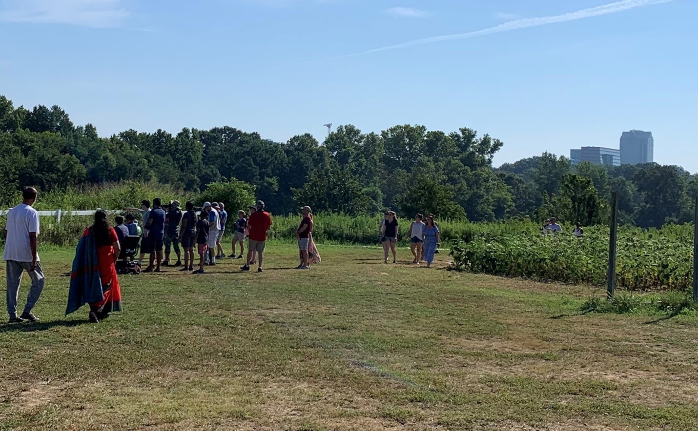 Birders at Dix Park Sunflowers sighting the Painted Bunting - Neal Wisenbaker