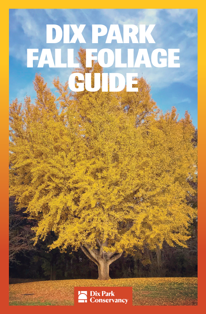 Fall Foliage Guide Cover