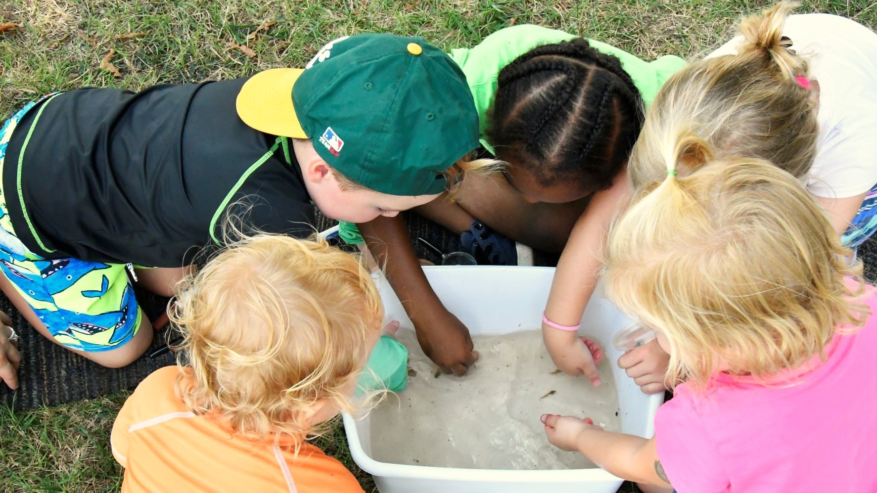 Children looking at tadpoles during Little Explorers