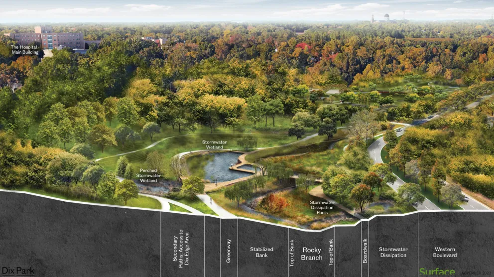 Rocky Branch Rendering