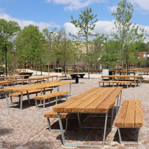 Picnic Grove