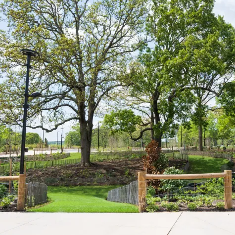 Woodland Garden