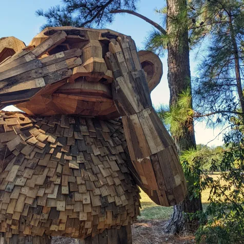 Dix Park Troll