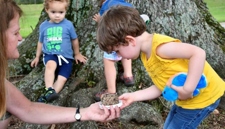 Children in the Little Explorers nature program looking at a nest