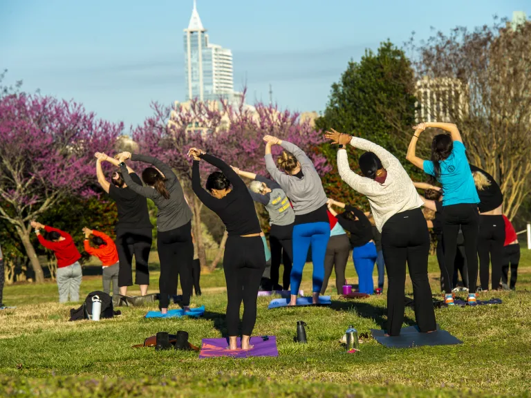 Adults in yoga poses