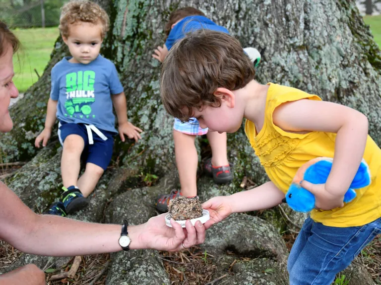 Children in the Little Explorers nature program looking at a nest