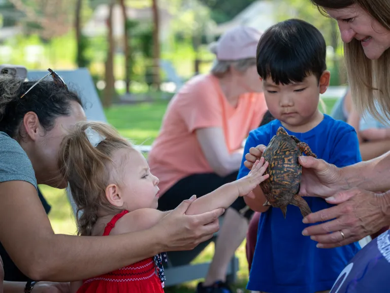 kids touching turtles