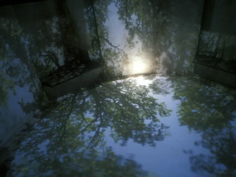 Camera Obscura & Lumen Prints