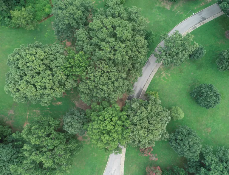 Aerial view of Harvey Hill