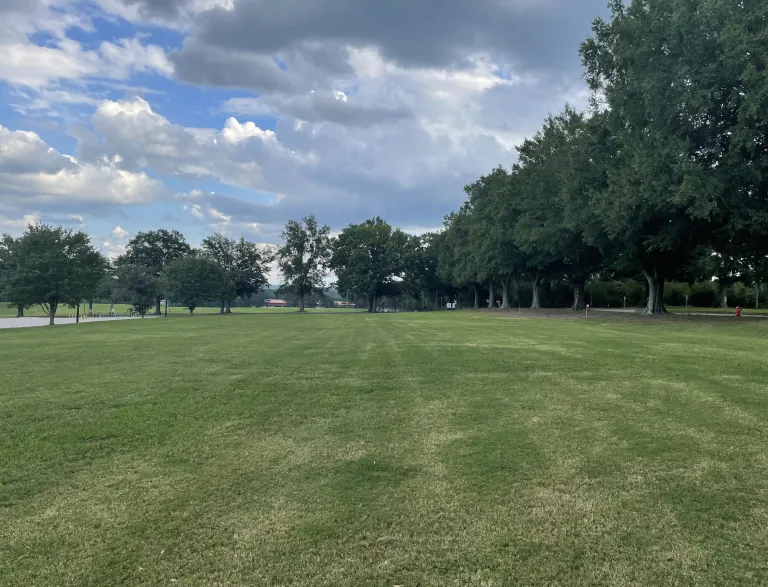 Adams Field