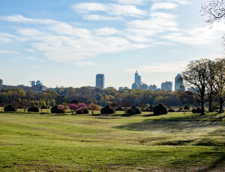 Skyline on Flowers Field