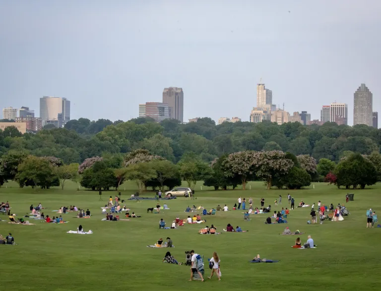 Event on Flowers Field
