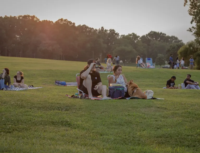 Picnic on Flowers Field