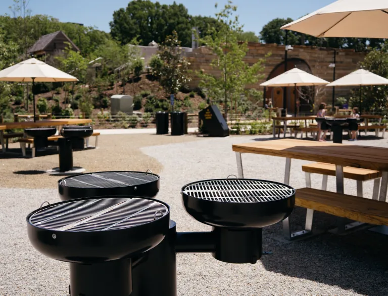 Picnic Grove