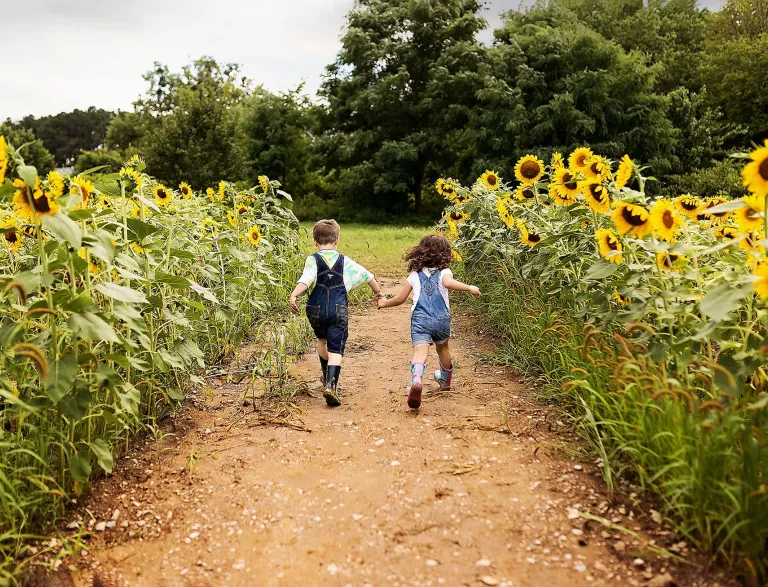 Two children running through the sunflowers