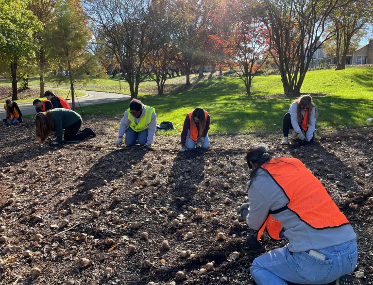 2024 Raleigh Parks Volunteers planting daffodils