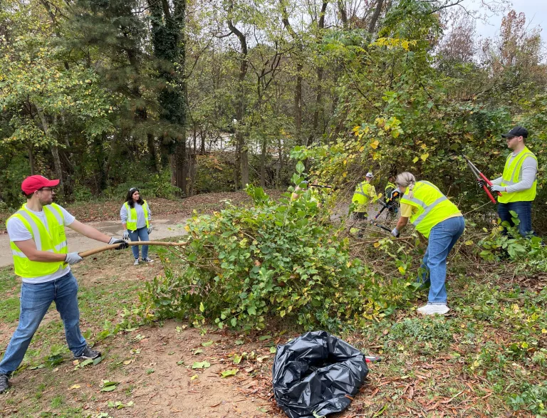 2024 Raleigh Parks Volunteers invasive plant removal