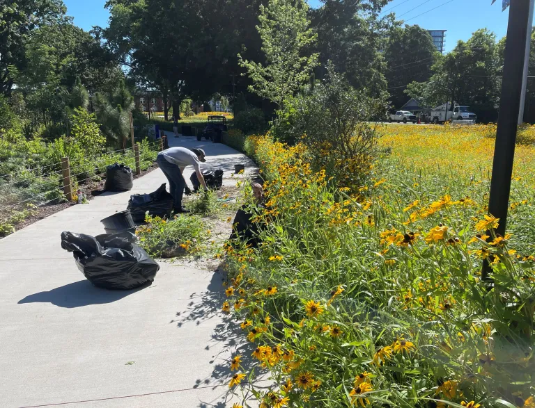 2025 Raleigh Parks Volunteers at Gipson Guardians