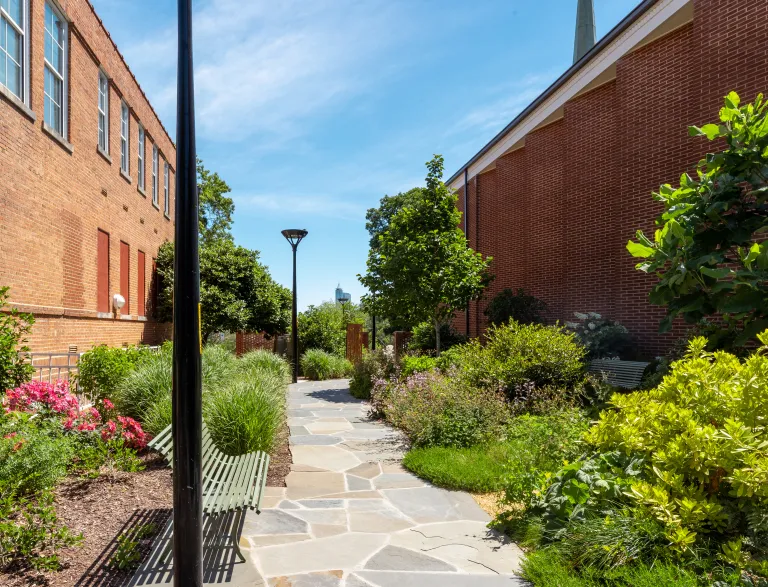garden
