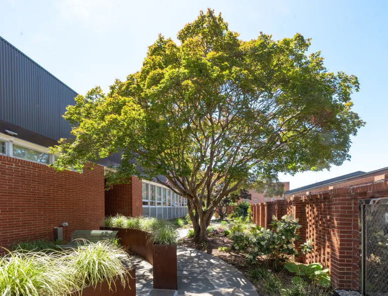 garden