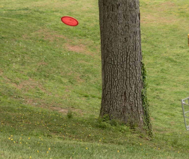 Disc Golf