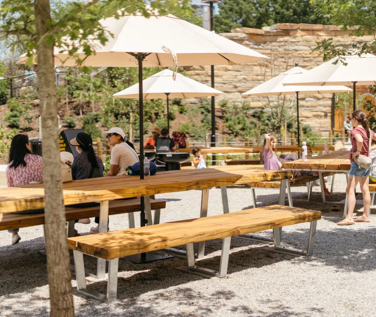 Picnic Grove